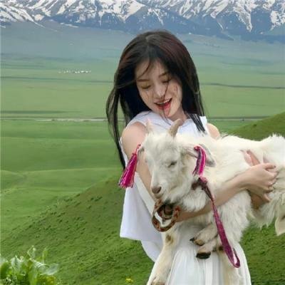 朵儿的战争
