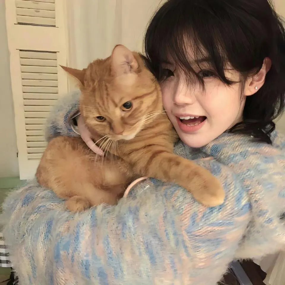 三个绑匪七条心